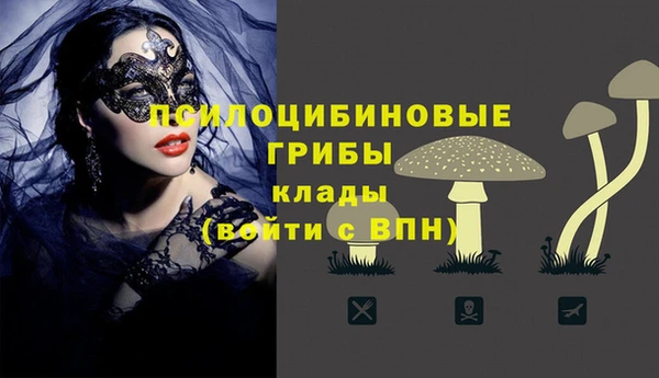 молекула духа Армянск
