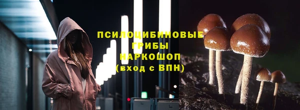 бошки Аркадак