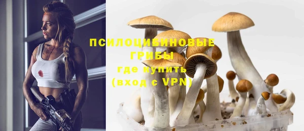 бошки Аркадак