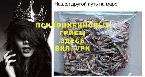 бошки Аркадак