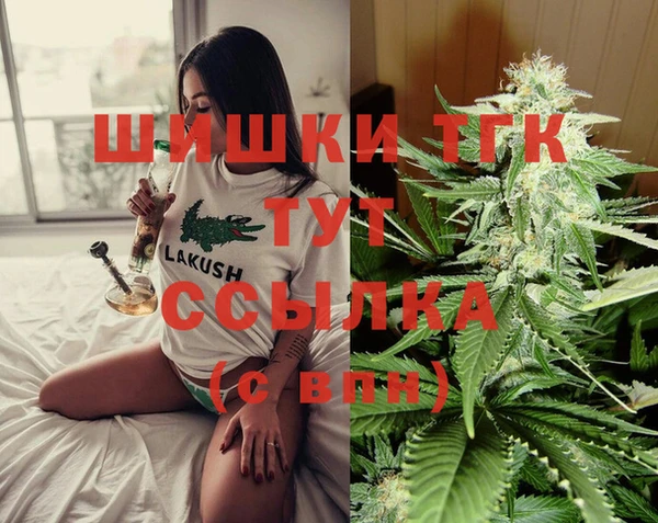 герыч Арсеньев
