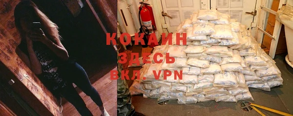 бошки Аркадак