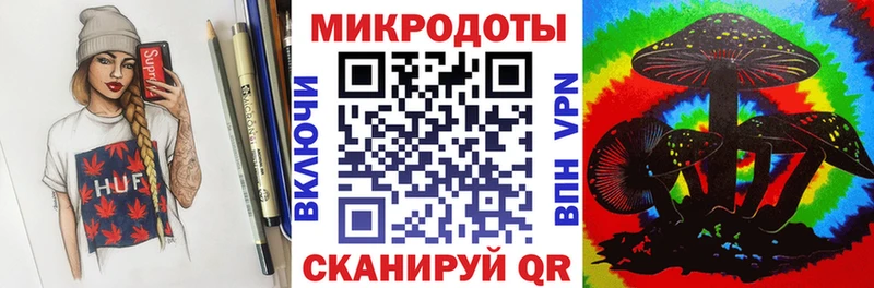 Псилоцибиновые грибы Psilocybine cubensis  Чебаркуль 